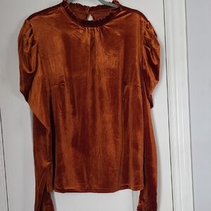 NWOT Boutique Chic Velvet Rust Blouse Puffed Sleeved